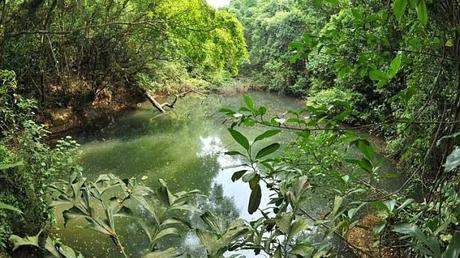 REDESCUBREN UN PEQUEÑO EMBALSE EN SINGAPUR