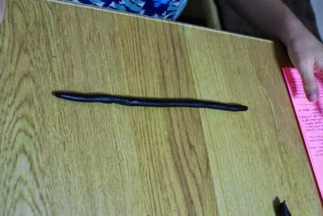 After Eight Cupcakes (Cupcakes de Menta y Chocolate) + Tutorial de Rosa de Chocolate plástico After Eight Cupcakes (Cupcakes de Menta y Chocolate) + Tutorial de Rosa de Chocolate plástico