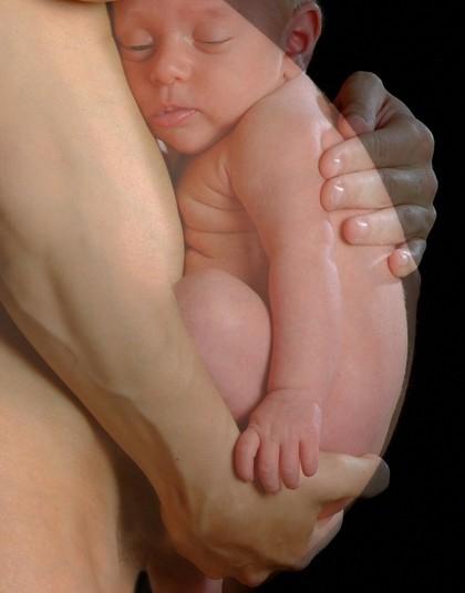 La exterogestación La exterogestación