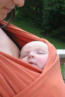 “Los segundos nueve meses: La exterogestación y la necesidad de ser llevado” “Los segundos nueve meses: La exterogestación y la necesidad de ser llevado”