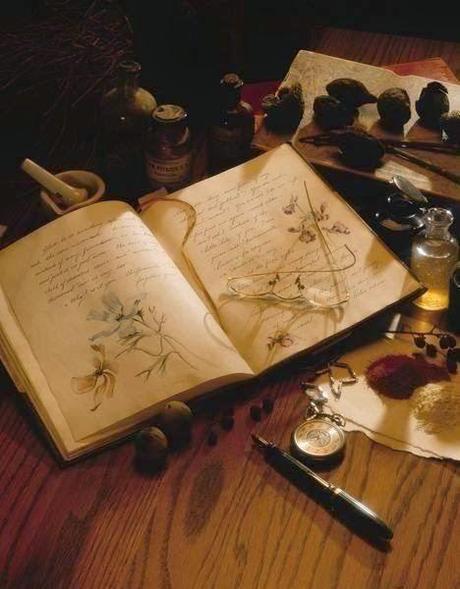 SUCEDE CADA DÍA... SUCEDE CADA DÍA...