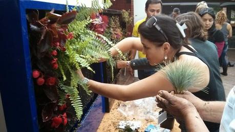 Curso de jardines verticales en Mallorca, 7 y 8 de Noviembre. Curso de jardines verticales