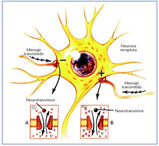 Epilepsia