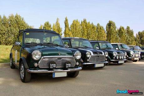 Club-Mini