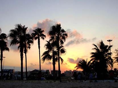 Arenal Sound take 2 and 4 Arenal Sound take 2 and 4