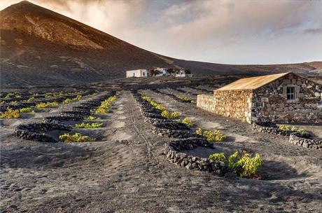 Y volver, volver, volver... Y volver, volver, volver...