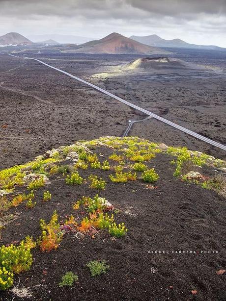 Y volver, volver, volver... Y volver, volver, volver...