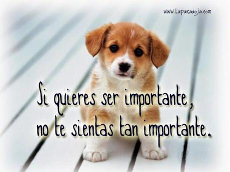 Si quieres ser importante no te sientas tan importante ser importante