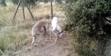 ¡PEDAZO VACACIONES!