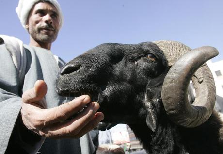 Arenas sagradas, o el mágico Egipto de Pierre Loti 8. Vendedor en el mercado del cairo. Autor, Nasser Nouri