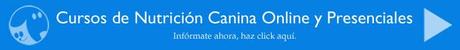 ¡Ojo con las bacterias en tus alimentos! Y en los de tu perro (I) bannerCursos