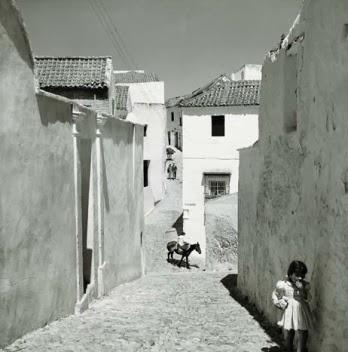 Exposición de Nicolas Muller en la Sala Canal Isabel II Exposición de Nicolas Muller en la Sala Canal Isabel II