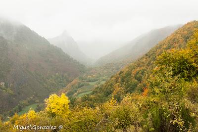 Parque Natural de Somiedo en Otoño Parque Natural de Somiedo en Otoño