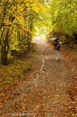 Parque Natural de Somiedo en Otoño Parque Natural de Somiedo en Otoño