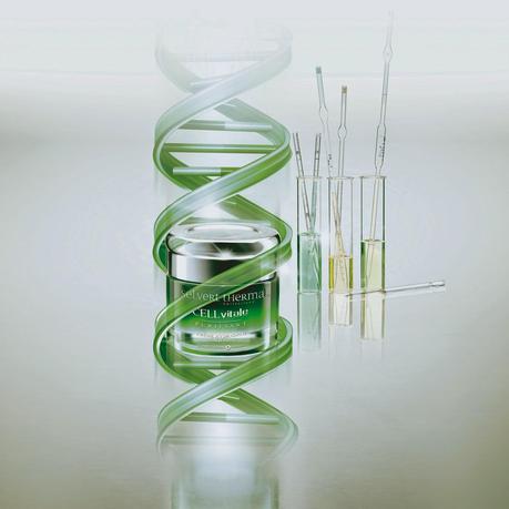 Selvert Thermal Selvert Thermal