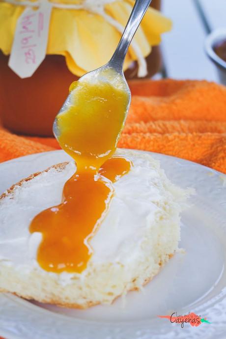 Mermelada de Mango Mermelada de Mango