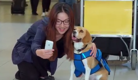 sherlock-klm.png Sherlock klm