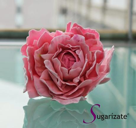 David Rogaz, mucho más que un Cake Designer David Rogaz, mucho más que un Cake Designer