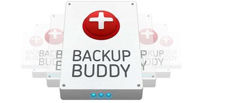 Plugins WordPress copia de seguridad Backup Buddy