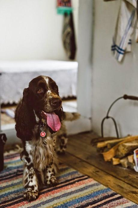 Una cabaña de fin de semana Una cabaña de fin de semana