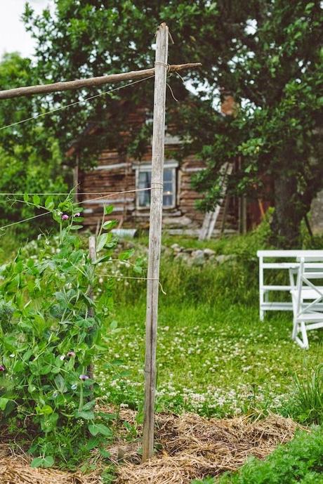 Una cabaña de fin de semana Una cabaña de fin de semana