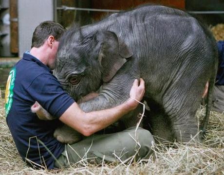 El poder de un abrazo