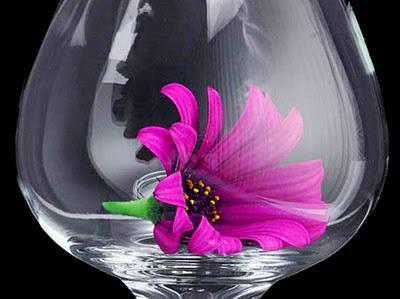 Pinceles con aroma a flores: Giuseppe Muscio Pinceles con aroma a flores: Giuseppe Muscio