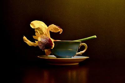 Pinceles con aroma a flores: Giuseppe Muscio Pinceles con aroma a flores: Giuseppe Muscio