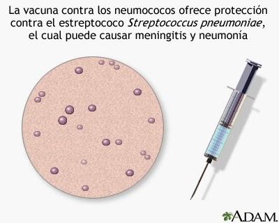 Prevención II Prevención II