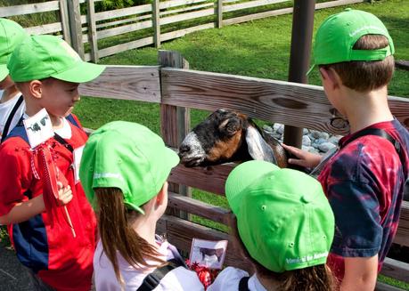 Beneficios de acercar a los niños a la naturaleza.