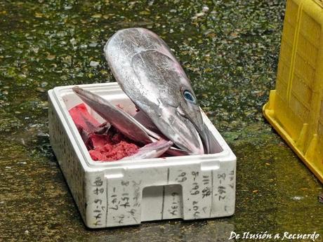 El ADN de Japón en 10 experiencias Mercado de pescado Tsukiji en Tokyo Japón