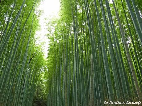 El ADN de Japón en 10 experiencias Bosque de bambú de Arashiyama cerca de Kioto