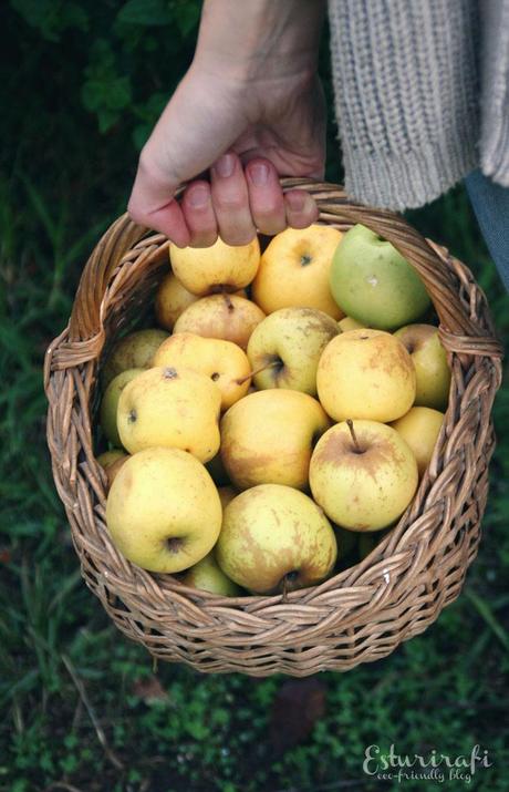 Bienvenido octubre #descargables #entrevista Cesta con manzanas en otoño