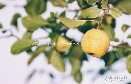 Bienvenido octubre #descargables #entrevista manzana en un arbol