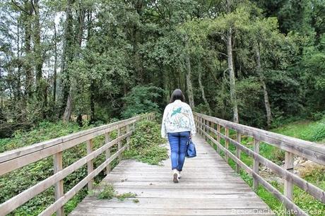 BOMBER & BLUE BOMBER & BLUE