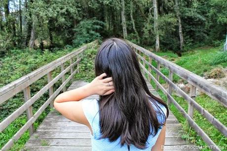 BOMBER & BLUE BOMBER & BLUE