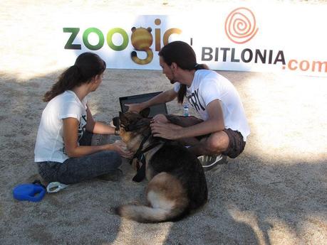 ZOOGIC lee la mente de perros para su bienestar y el de sus clientes