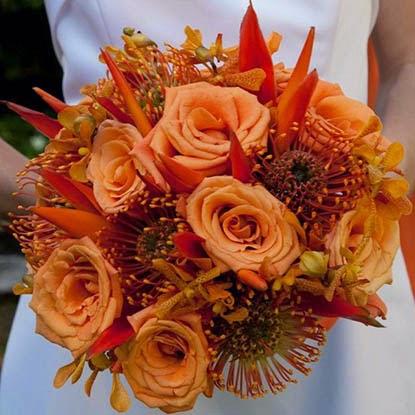 An autumn song An autumn song