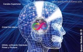 Métodos para Activar la Glándula Pineal glandula-pineal