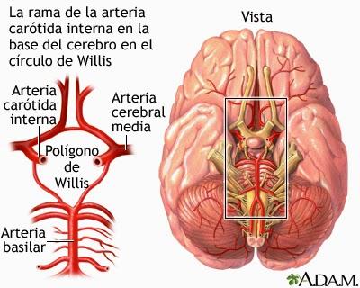 Tienen sentido las nuevas recomendaciones delas Estatinas