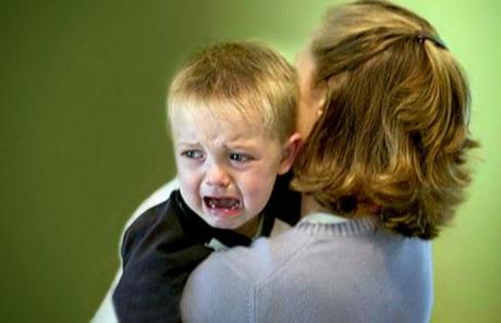 El Desarrollo de tu Hijo (2 a 3 años) El Desarrollo de tu Hijo (2 a 3 años)