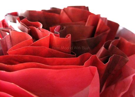 NOVEDAD:  Wild Rose de Korres - El poder correctivo de la rosa salvaje