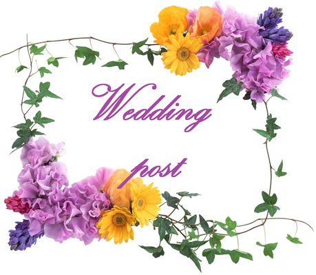 Wedding Wedding