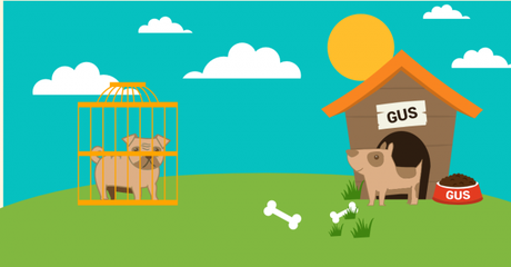 Razones para adoptar una mascota Razones para adoptar una mascota
