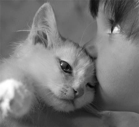 ENSEÑE A SUS HIJOS A AMAR Y RESPETAR A TODOS LOS ANIMALES ENSEÑE A SUS HIJOS A AMAR Y RESPETAR A TODOS LOS ANIMALES