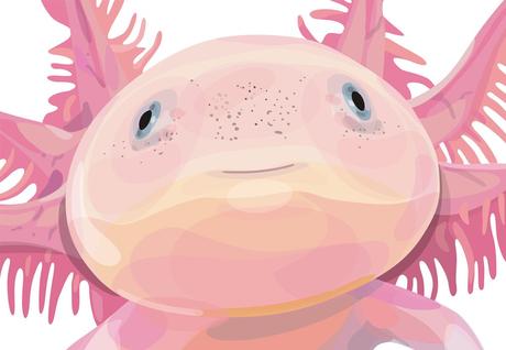 ¡Buena Suerte! Ruth Gómez. La New Gallery. Axolotl