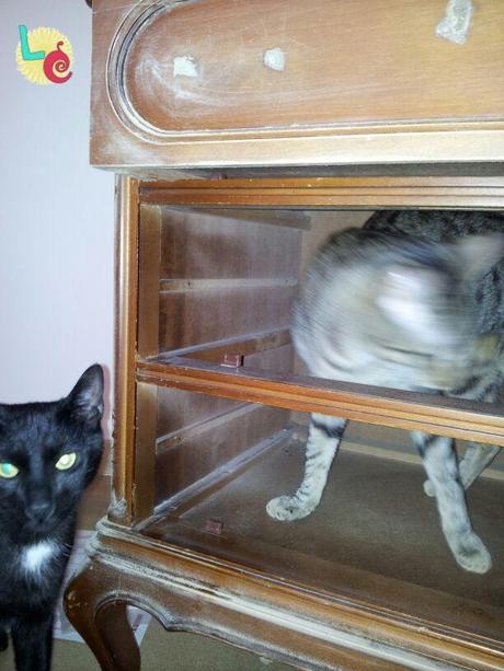 Pintar un mueble Pintar un mueble