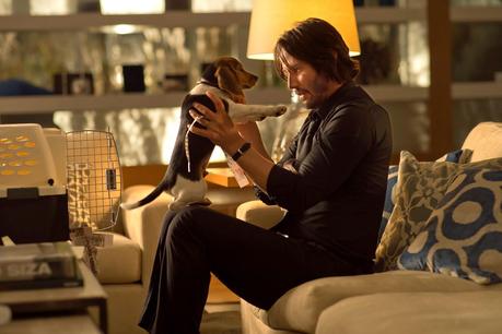 Nuevo Trailer E Imágenes De John Wick Nuevo Trailer E Imágenes De John Wick