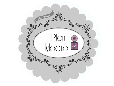 PLAN-MACRO II