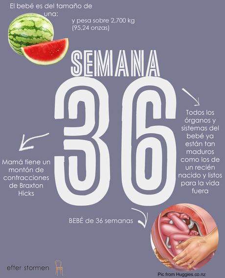 Semana 36 Embarazo | Week 36 Pregnancy